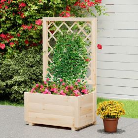 Raised Garden Bed Wooden Elevated Planter Box with Hanging Roof